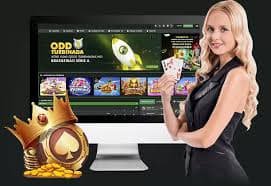 4bet 4bet par aapka Account aur Qanoon